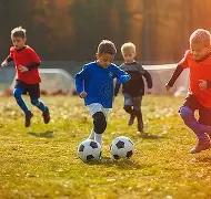 独家爆料,拜仁瞄准费,耶诺德强援,一号娱乐集团,一号娱乐游戏,一号娱乐集团,一号娱乐官网,一号娱乐