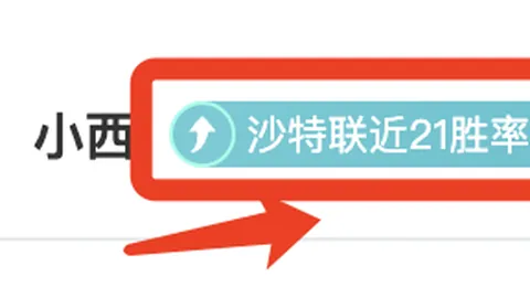 “费耶诺德收入千万欧，国际米兰备战阵容将迎来大规模调整”